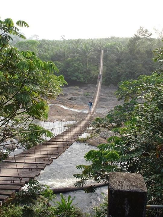 Paysage camerounais